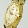 Omega Seamaster Automatique
